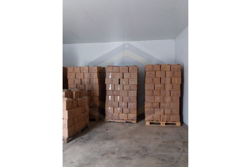 Cámara frigorífica de conservación para fresa - Canta / Lima