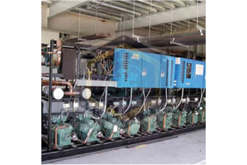 Equipamiento frigorífico-Matarani-Arequipa